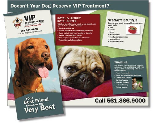VIP | Very Important Paws Brochure